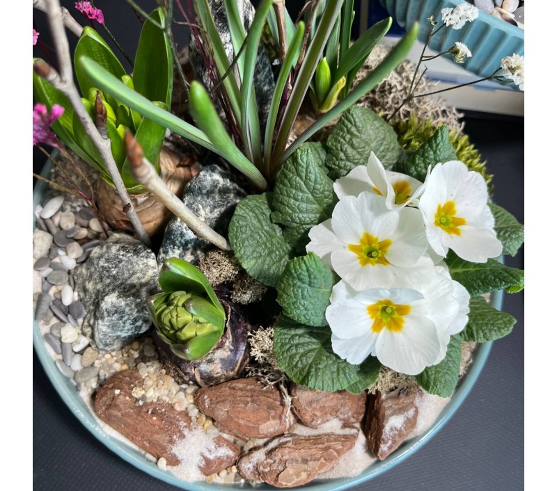 Композиция в керамическом кашпо с первоцветами арт. 146