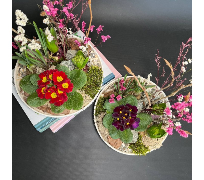 Композиция в керамическом кашпо с первоцветами арт. 147