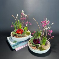 Композиция в керамическом кашпо с первоцветами арт. 147