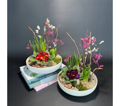 Композиция в керамическом кашпо с первоцветами арт. 147