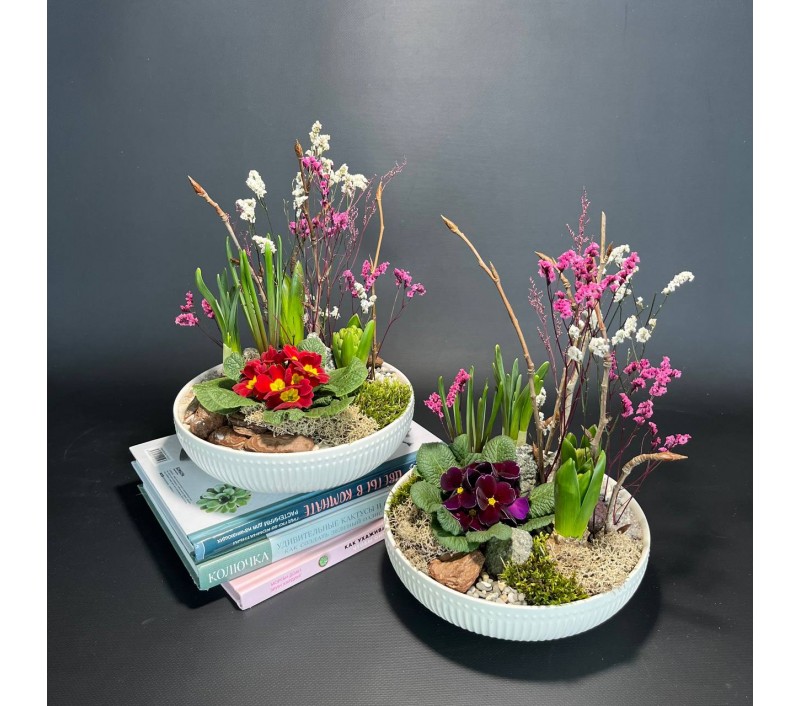 Композиция в керамическом кашпо с первоцветами арт. 147