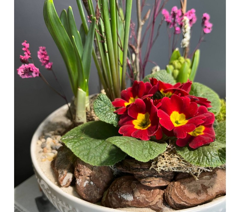 Композиция в керамическом кашпо с первоцветами арт. 147