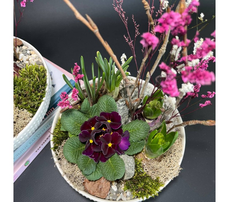 Композиция в керамическом кашпо с первоцветами арт. 147