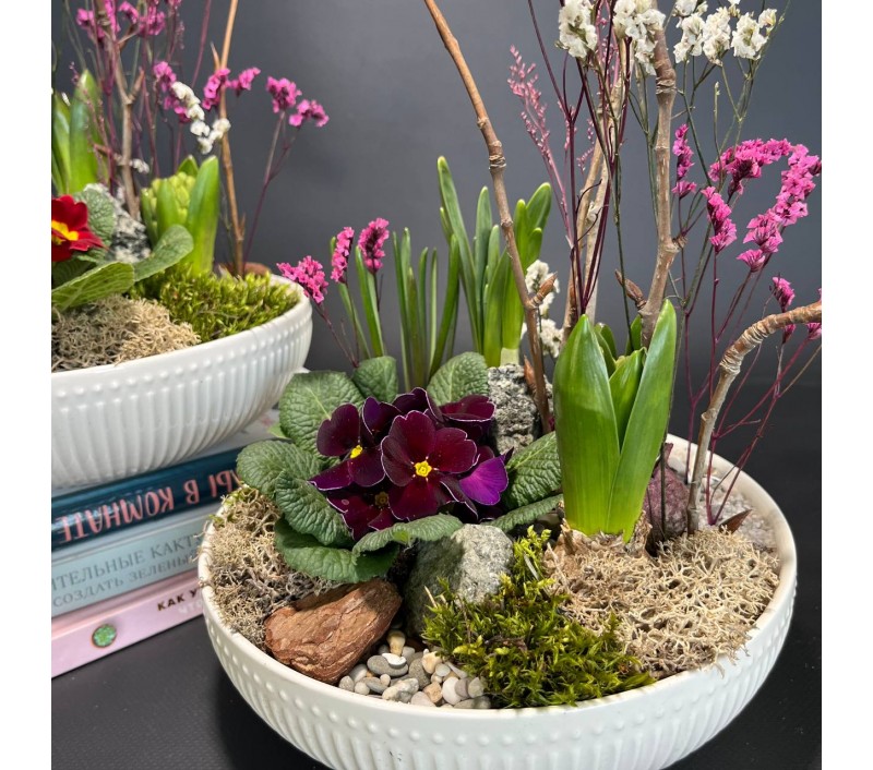 Композиция в керамическом кашпо с первоцветами арт. 147