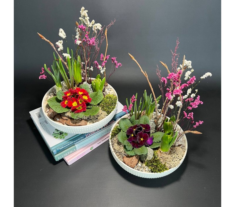 Композиция в керамическом кашпо с первоцветами арт. 147