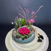 Композиция в керамическом кашпо с первоцветами арт. 148