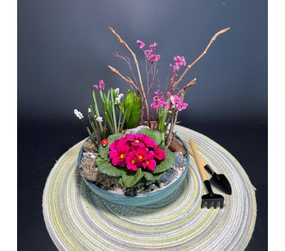 Композиция в керамическом кашпо с первоцветами арт. 148