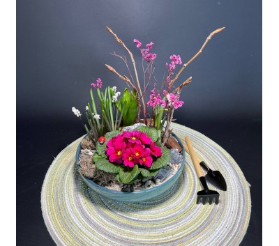 Композиция в керамическом кашпо с первоцветами арт. 148 Композиция в керамическом кашпо с первоцветами арт. 148