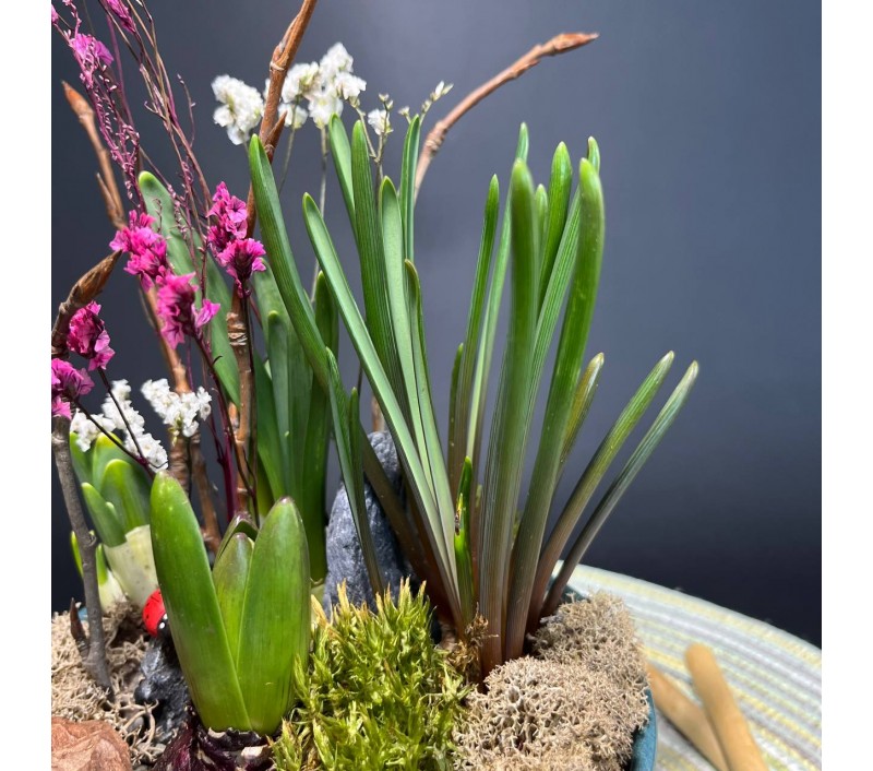 Композиция в керамическом кашпо с первоцветами арт. 149