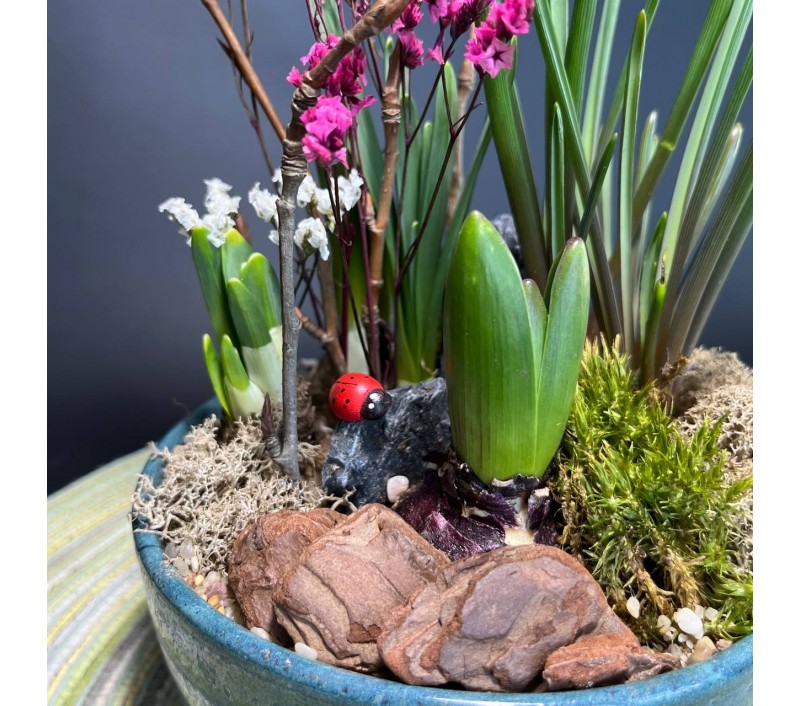 Композиция в керамическом кашпо с первоцветами арт. 149
