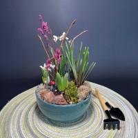 Композиция в керамическом кашпо с первоцветами арт. 149