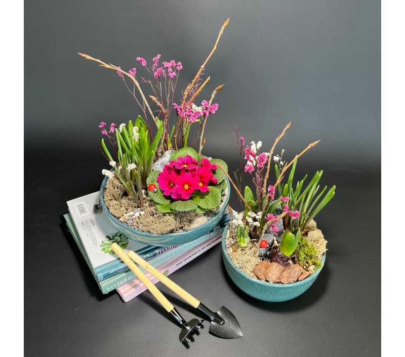 Композиция в керамическом кашпо с первоцветами арт. 149