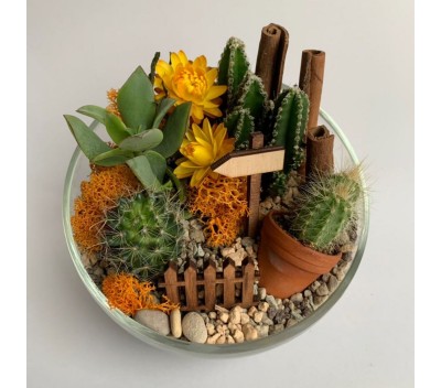 Флорариум "Мини-сад" "Солнечный" арт. 040