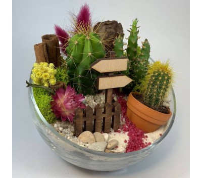 Флорариум "Мини-сад" "Малиновый десерт" арт. 042