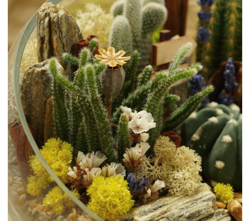 Флорариум "Мини-сад"с верблюдом арт. 046