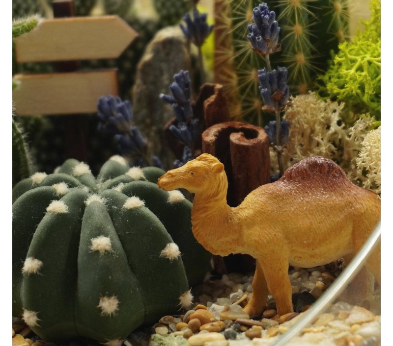 Флорариум "Мини-сад"с верблюдом арт. 046