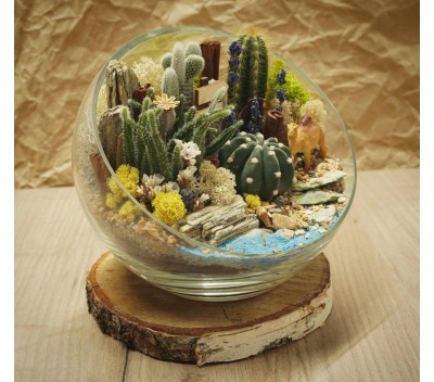 Флорариум "Мини-сад" с верблюдом арт. 046