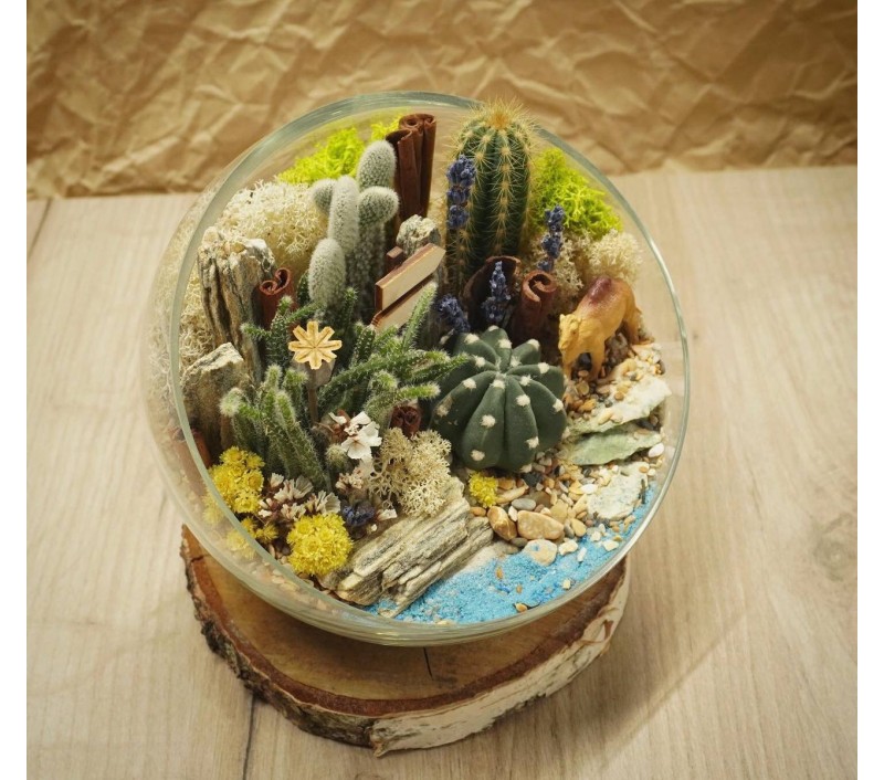 Флорариум "Мини-сад"с верблюдом арт. 046