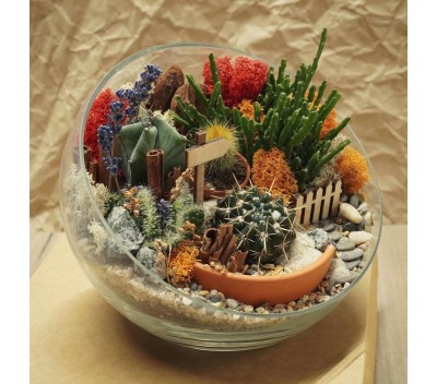 Флорариум "Мини-сад" "Притяжение" арт. 047