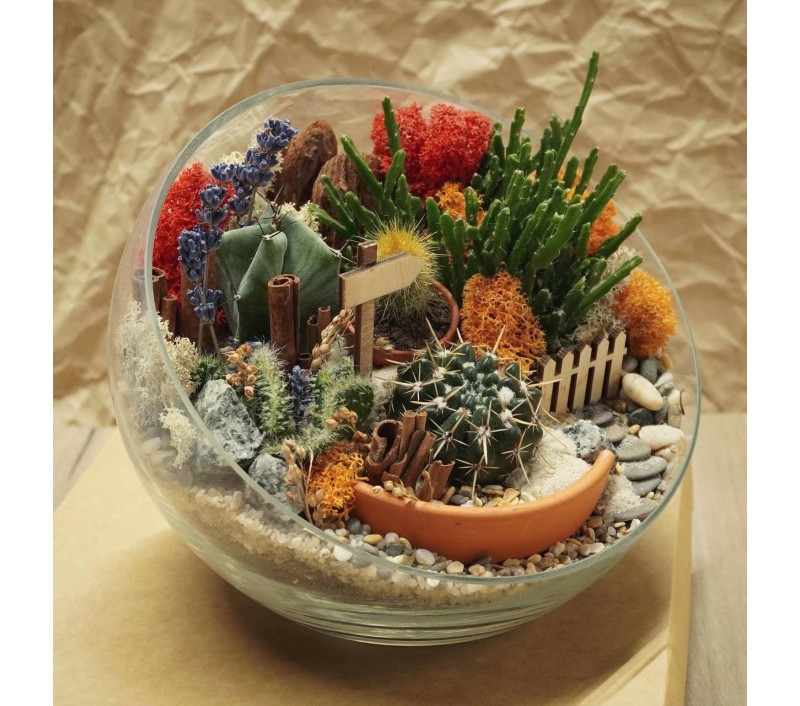 Флорариум "Мини-сад" "Притяжение" арт. 047
