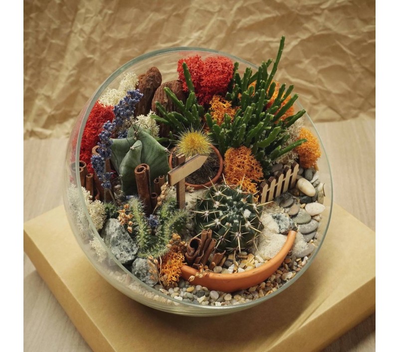 Флорариум "Мини-сад" "Притяжение" арт. 047