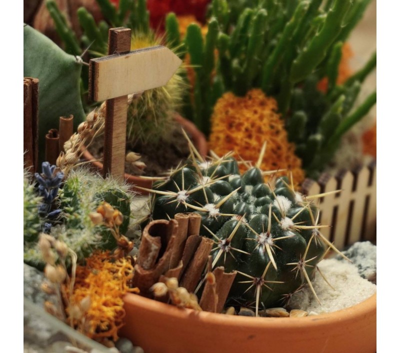 Флорариум "Мини-сад" "Притяжение" арт. 047